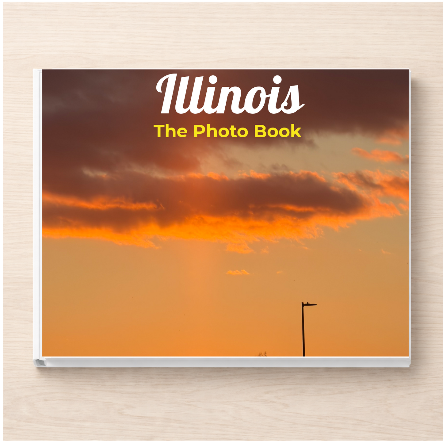 Illinois: The Photo Book