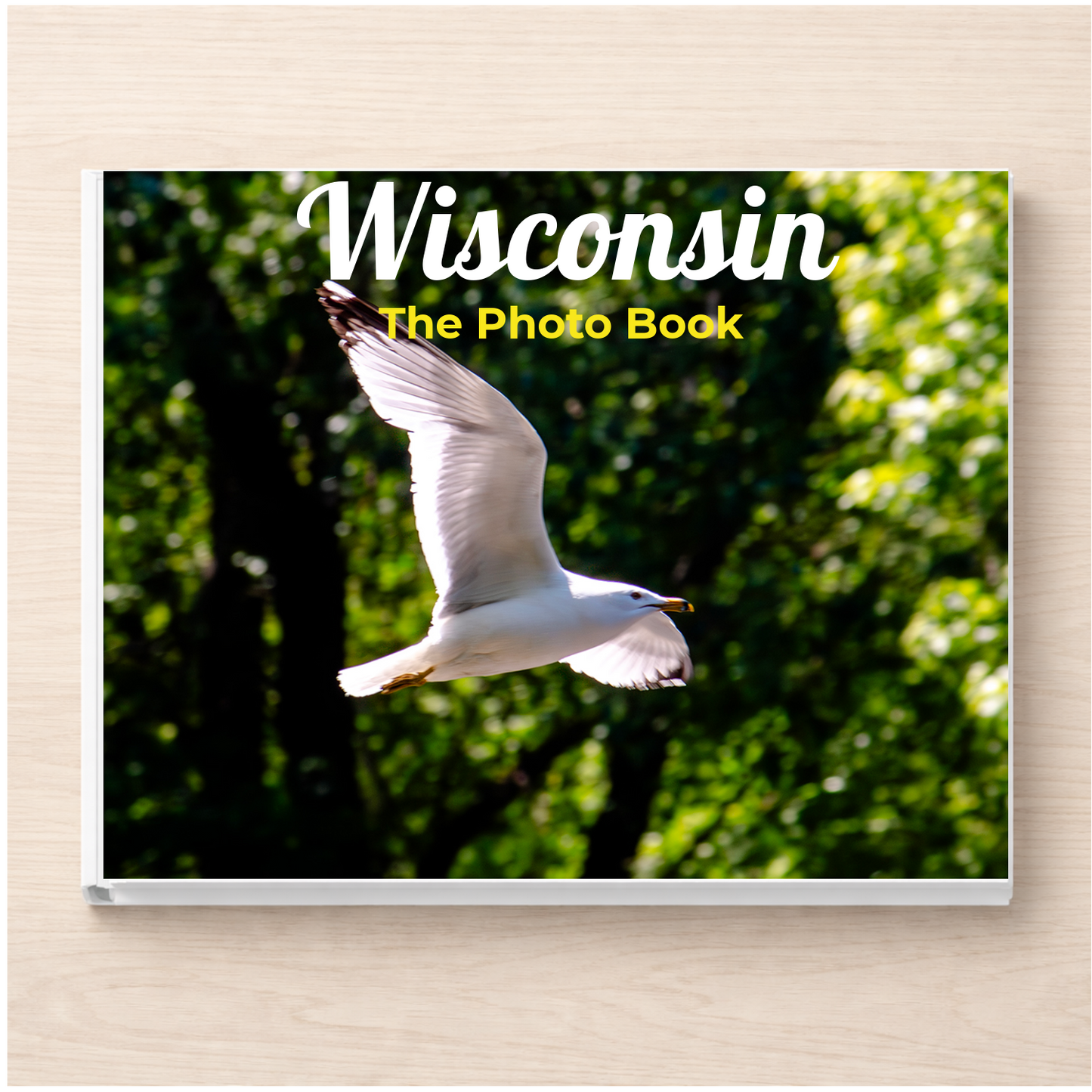 Wisconsin: The Photo Book