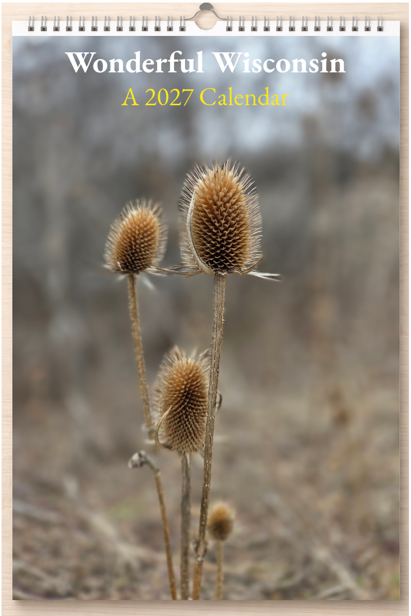 Wonderful Wisconsin: A 2027 Calendar