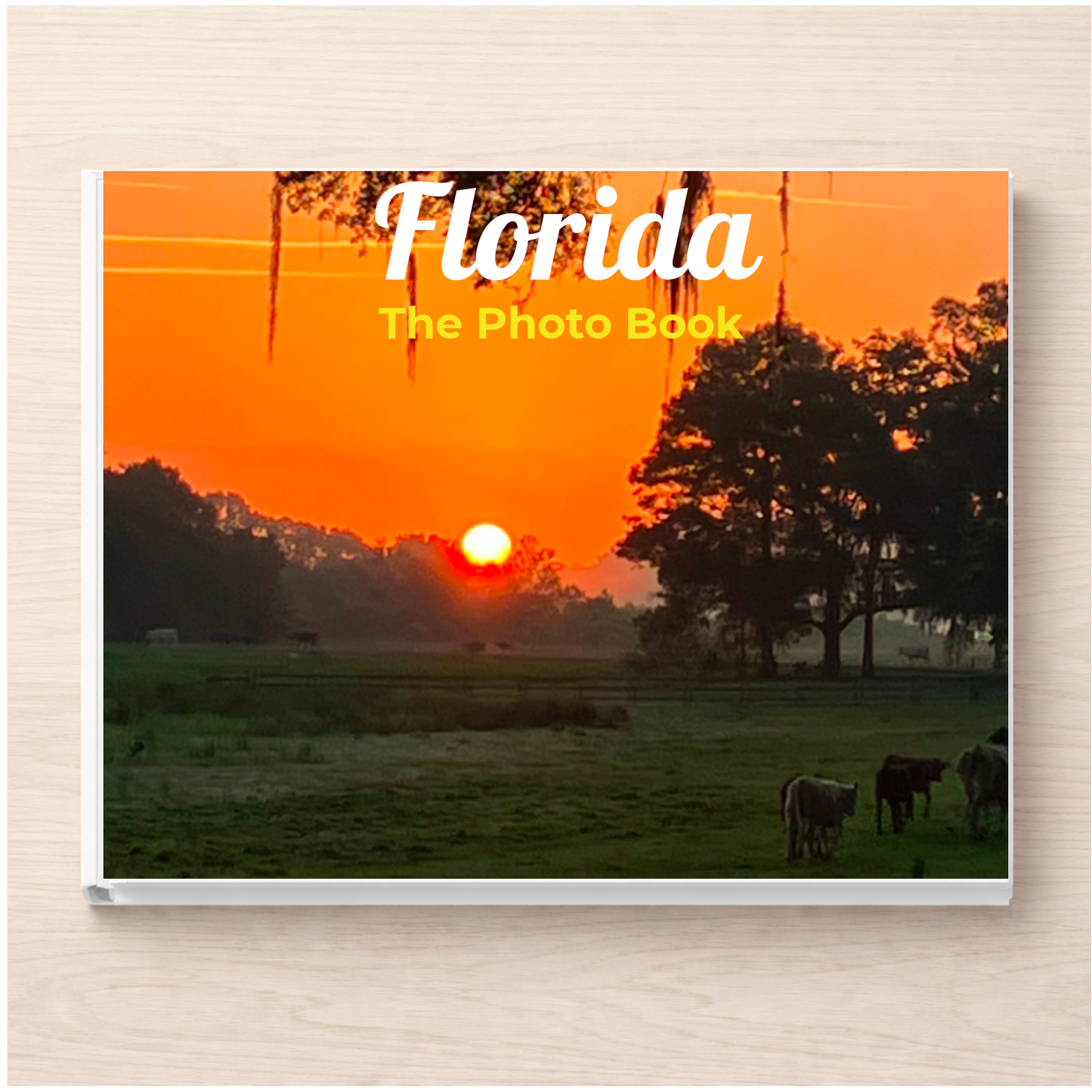Florida: The Photo Book