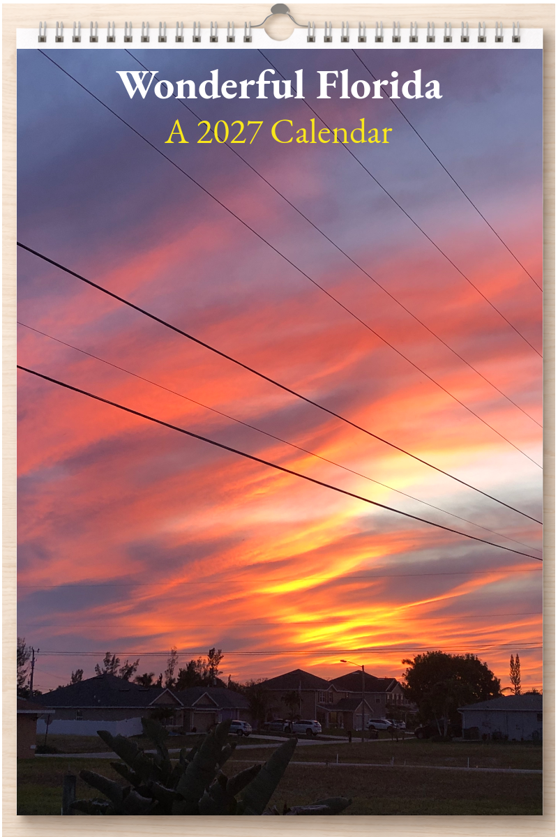 Wonderful Florida: A 2027 Calendar