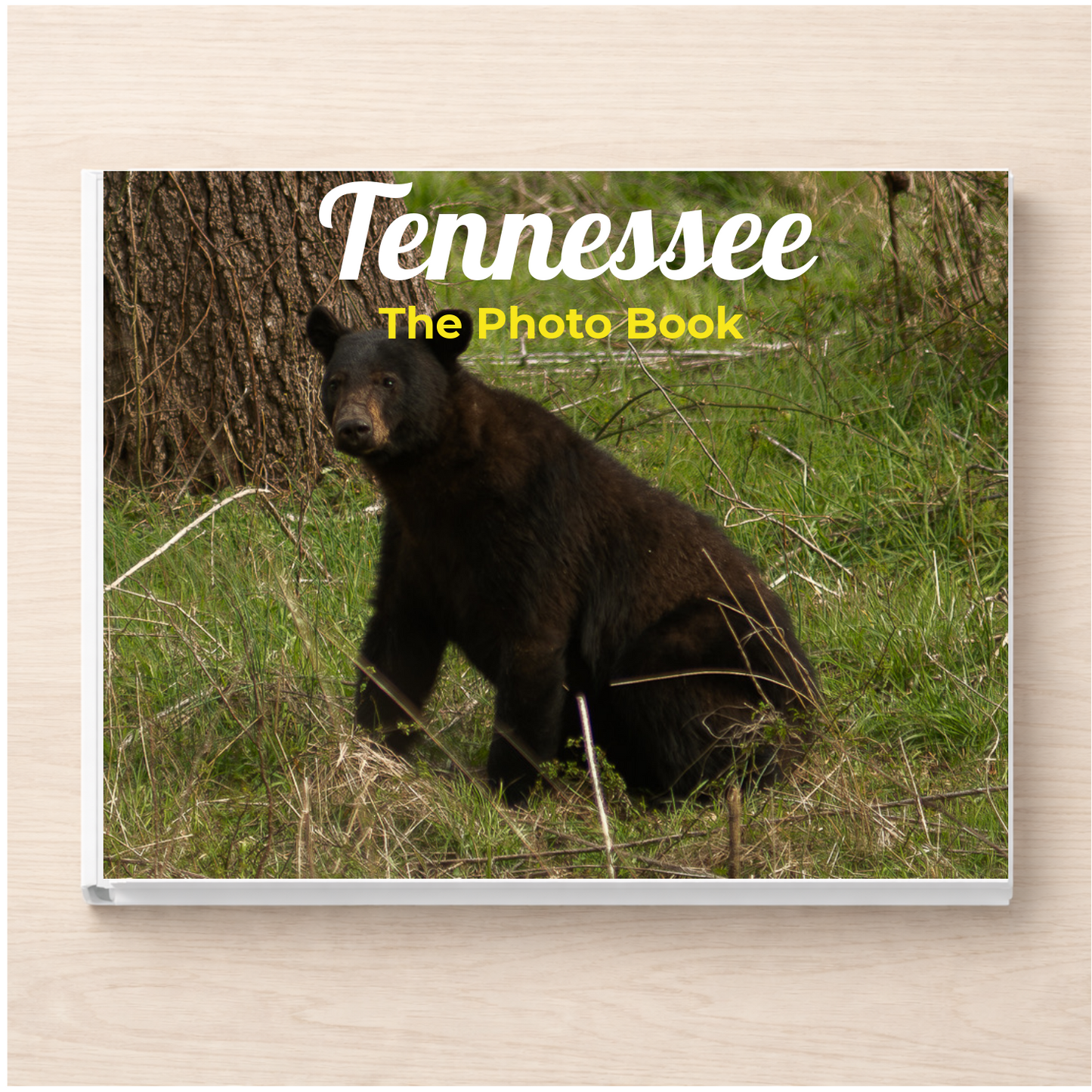 Tennessee: The Photo Book