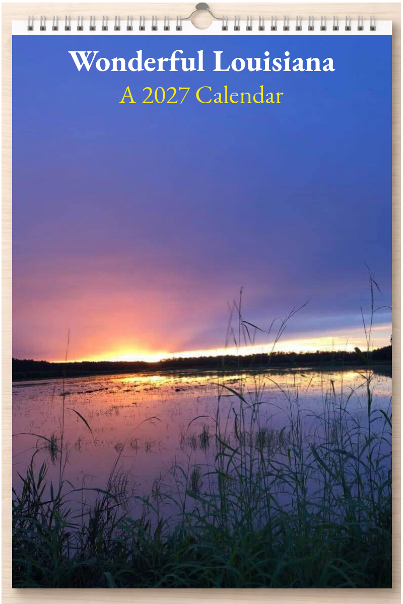 Wonderful Louisiana: A 2027 Calendar