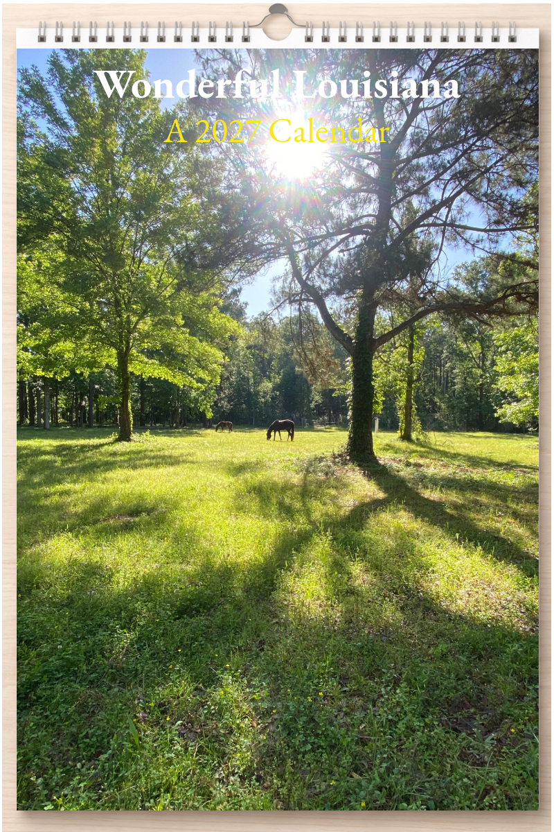 Wonderful Louisiana: A 2027 Calendar