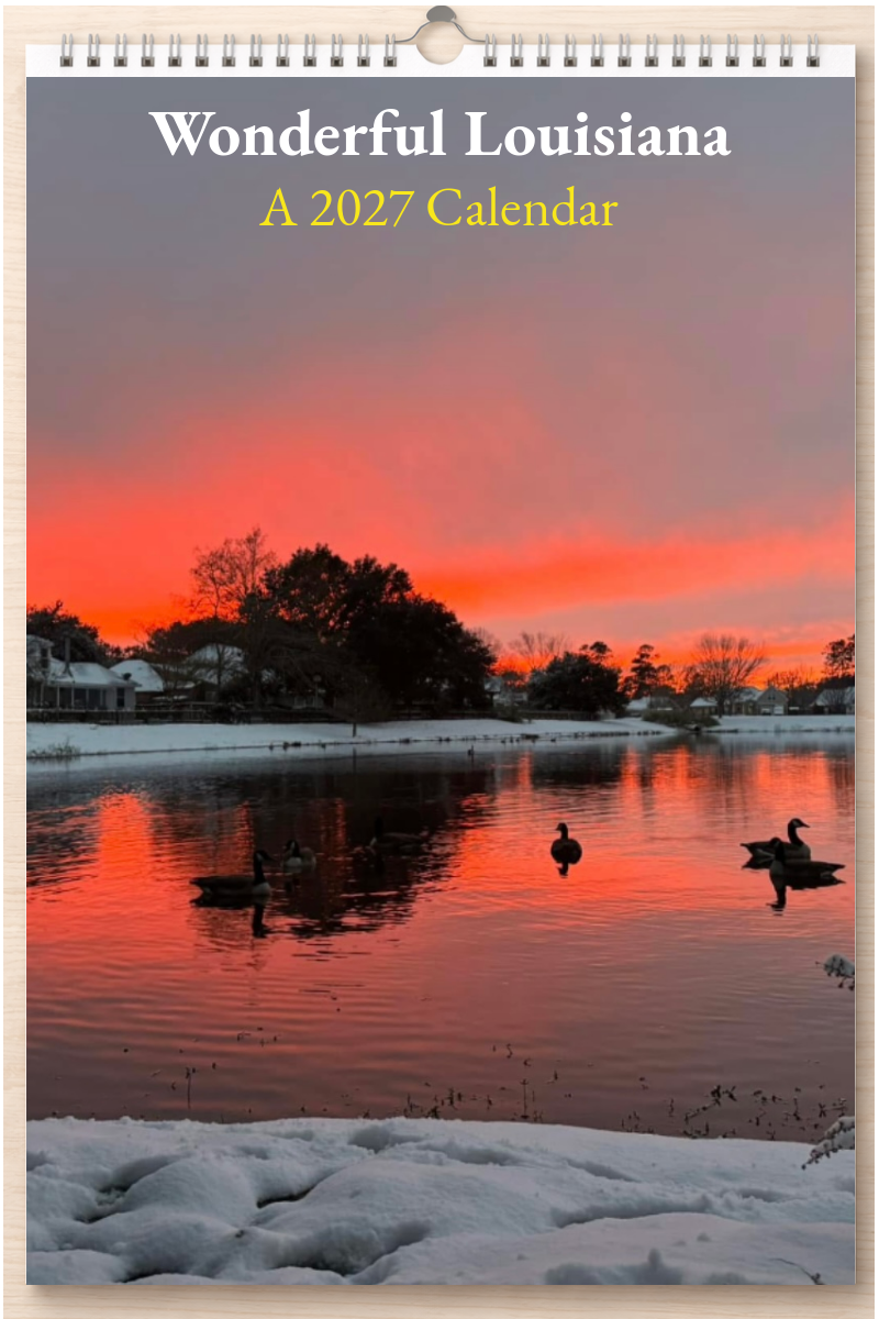 Wonderful Louisiana: A 2027 Calendar