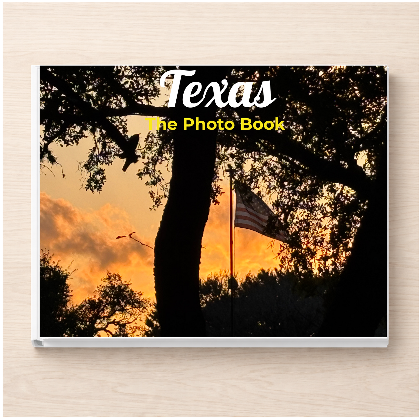 Texas: The Photo Book