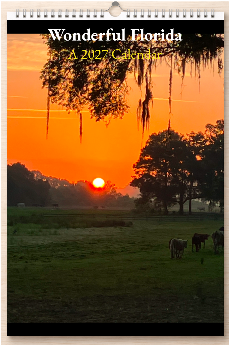 Wonderful Florida: A 2027 Calendar
