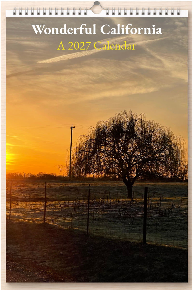 Wonderful California: A 2027 Calendar
