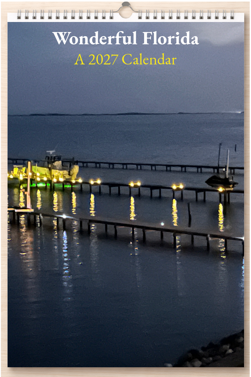 Wonderful Florida: A 2027 Calendar