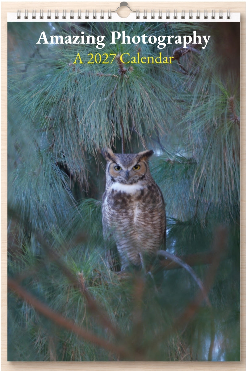 Amazing Photography: A 2027 Calendar