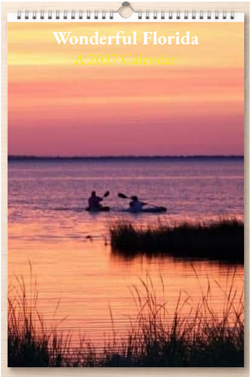 Wonderful Florida: A 2027 Calendar