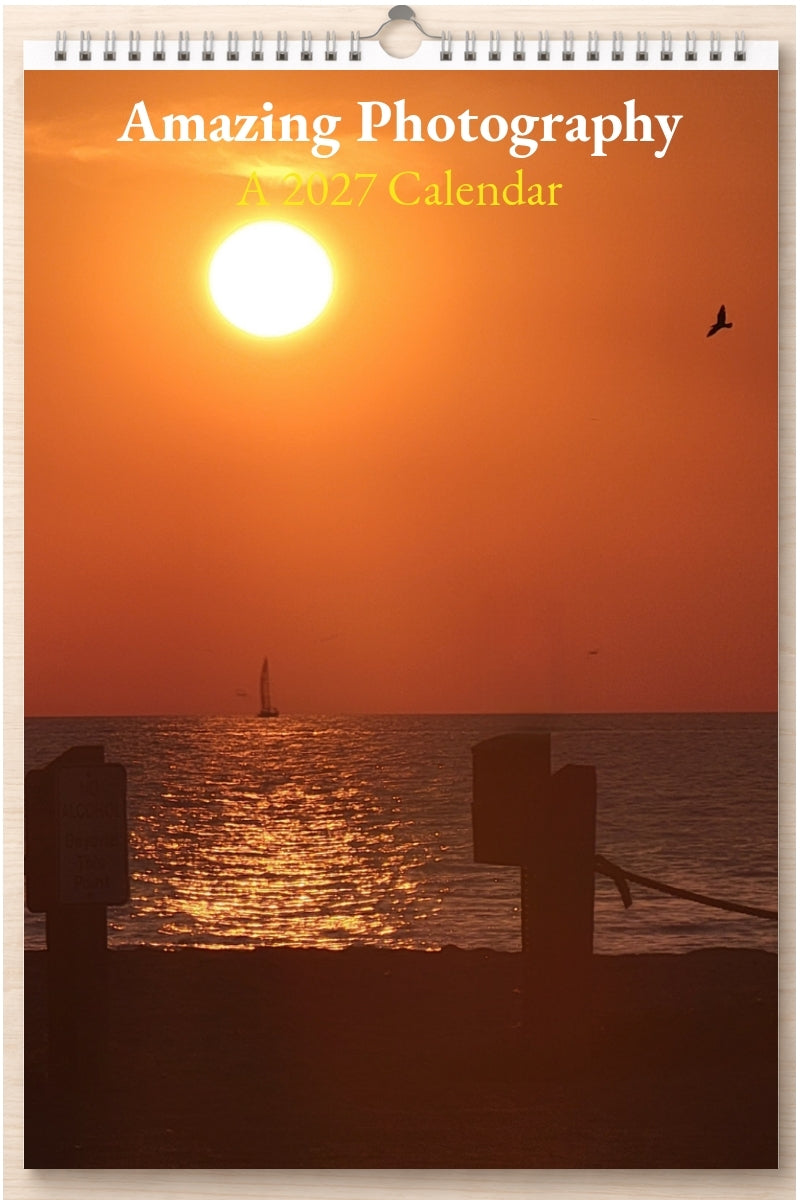 Amazing Photography: A 2027 Calendar