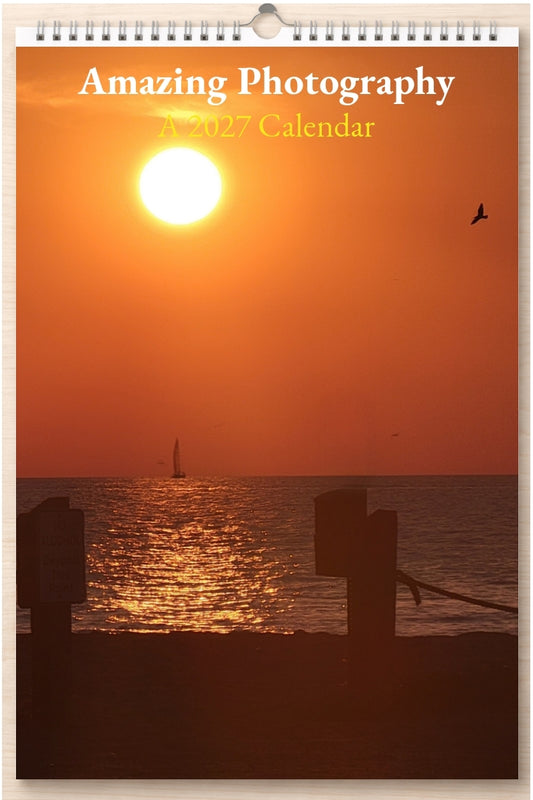 Amazing Photography: A 2027 Calendar
