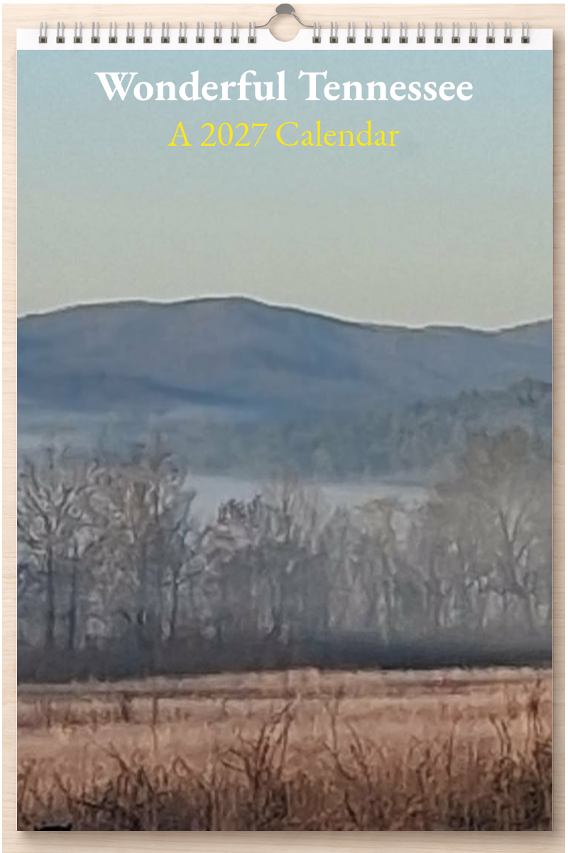 Wonderful Tennessee: A 2027 Calendar