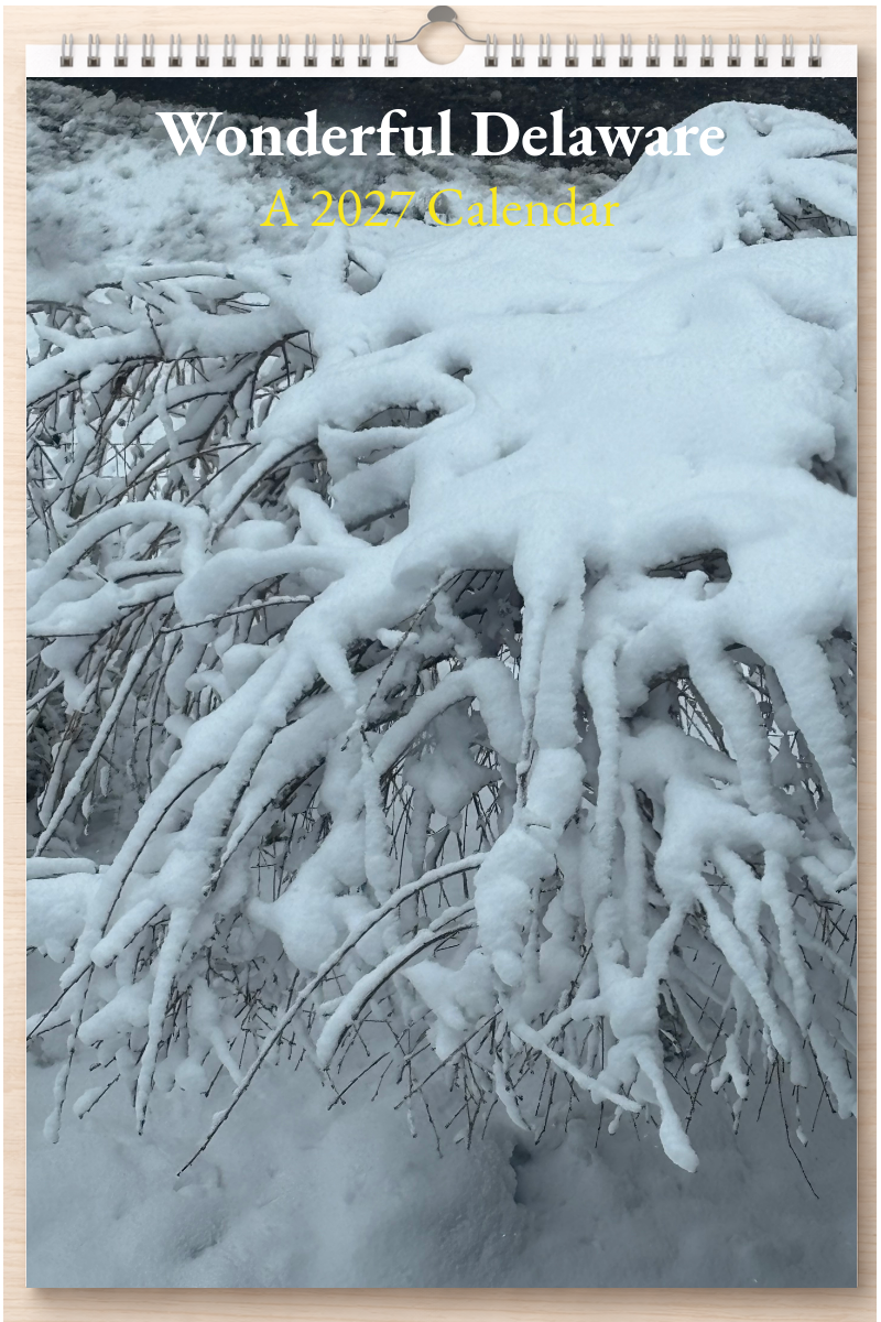 Wonderful Delaware: A 2027 Calendar