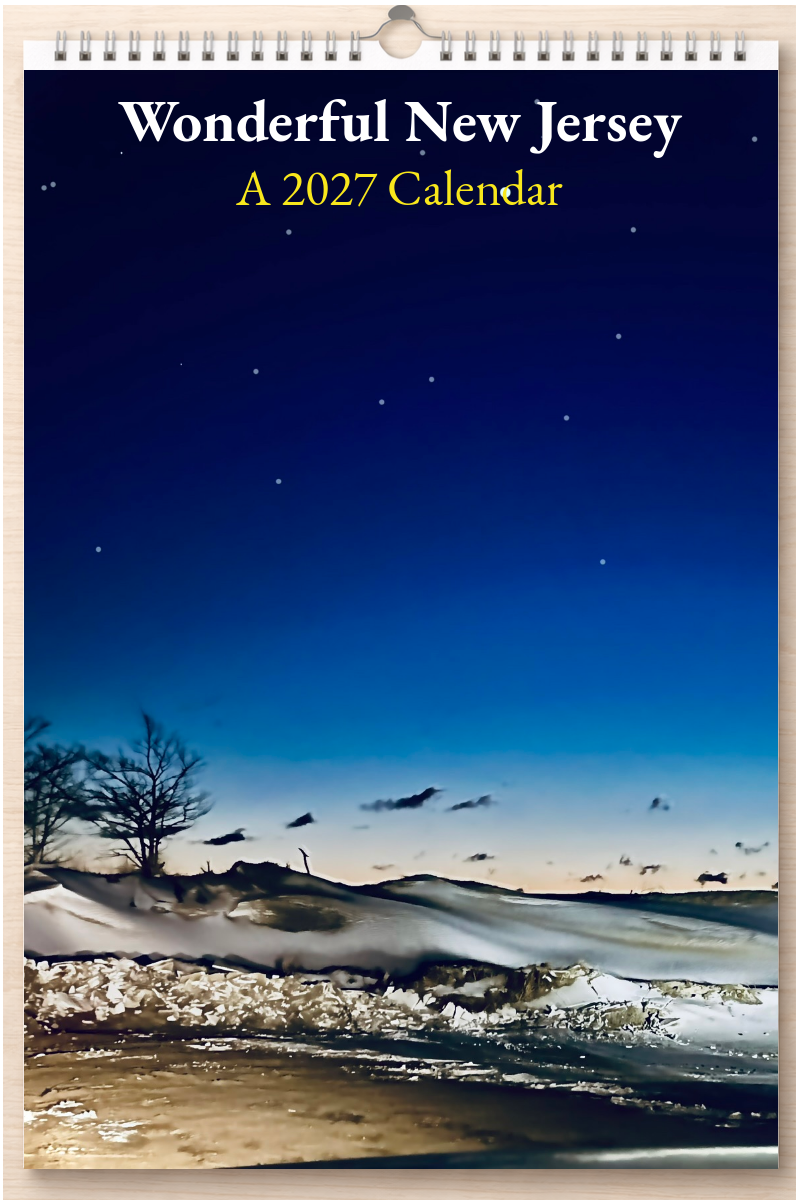 Wonderful New Jersey: A 2027 Calendar