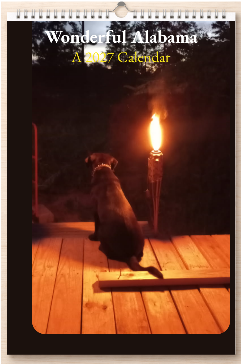 Wonderful Alabama: A 2027 Calendar