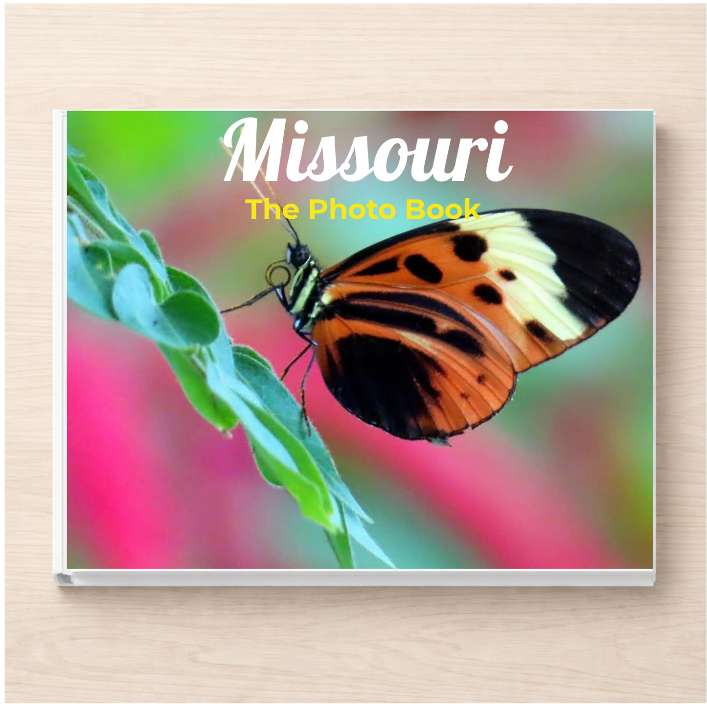 Missouri: The Photo Book