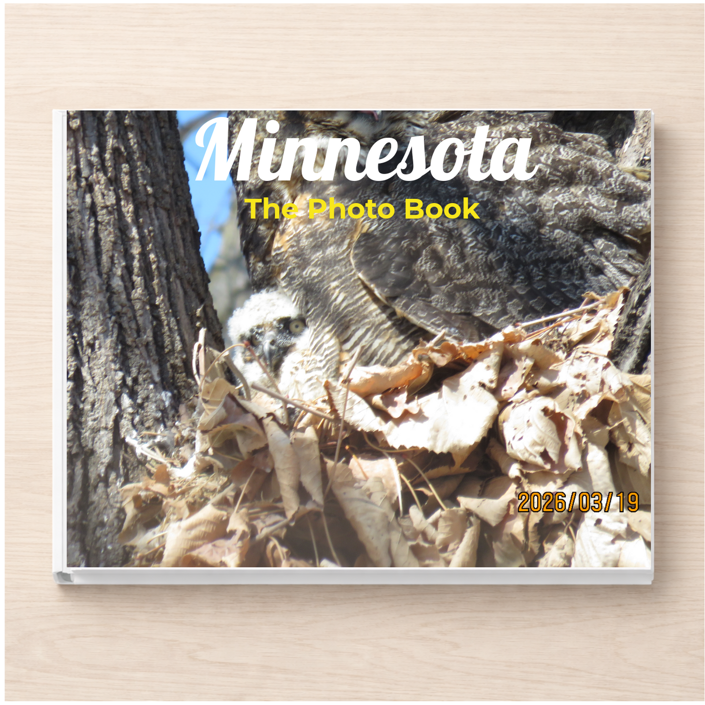Minnesota: The Photo Book