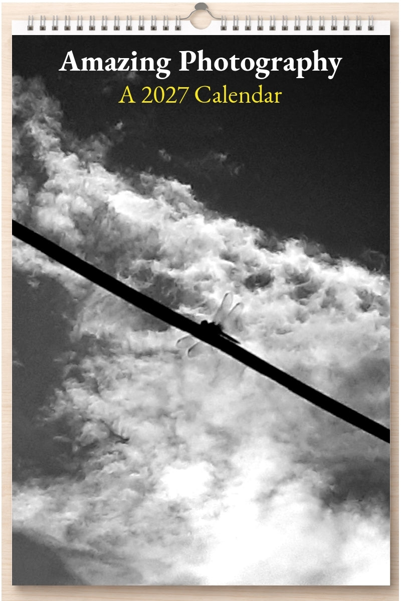 Amazing Photography: A 2027 Calendar
