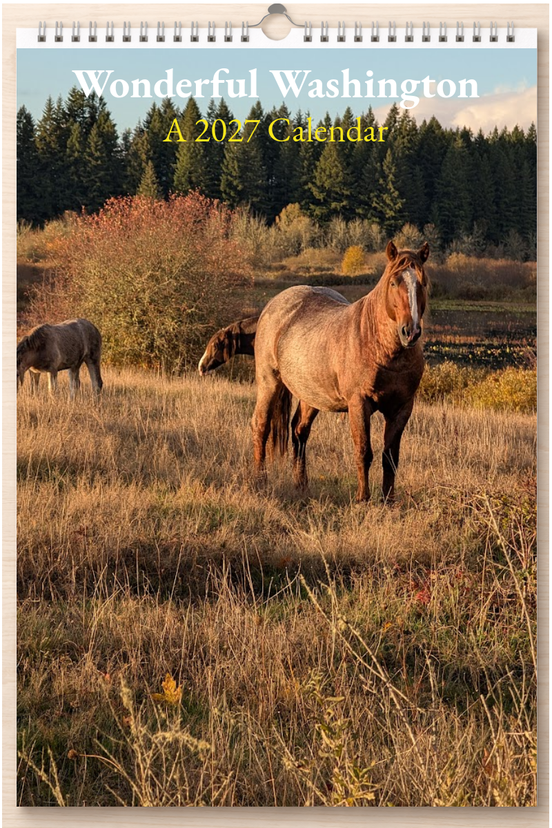Wonderful Washington: A 2027 Calendar