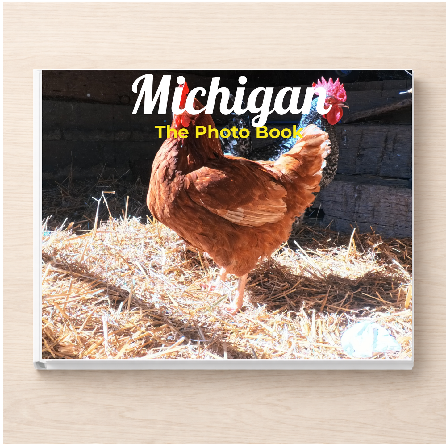 Michigan: The Photo Book