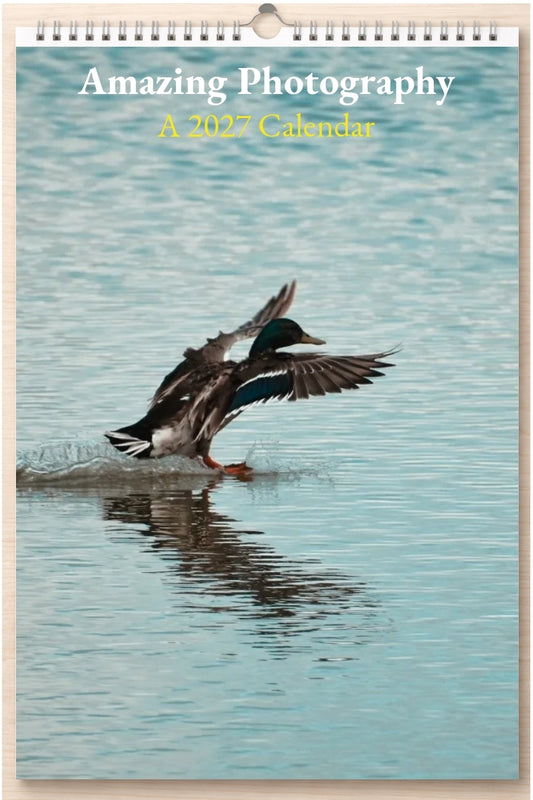 Amazing Photography: A 2027 Calendar