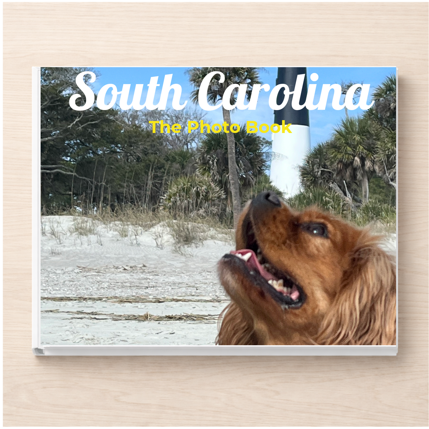 South Carolina: The Photo Book