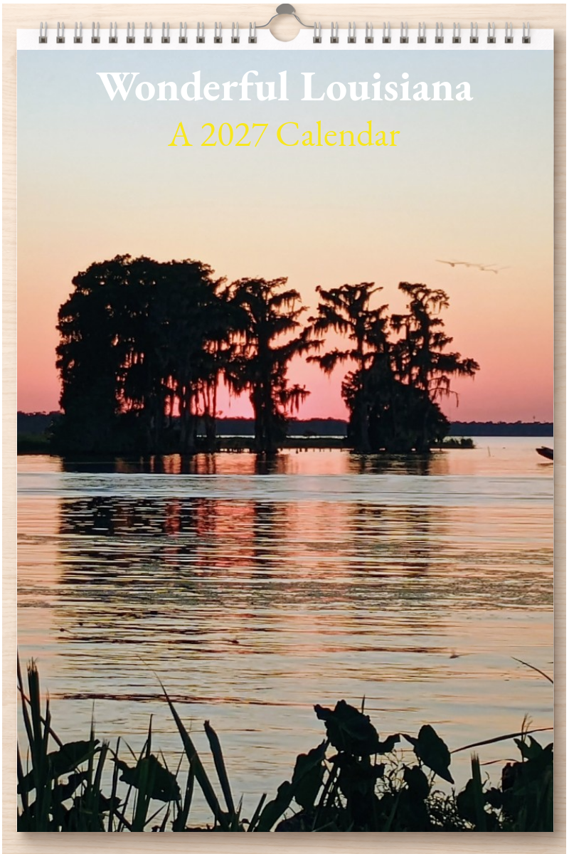 Wonderful Louisiana: A 2027 Calendar