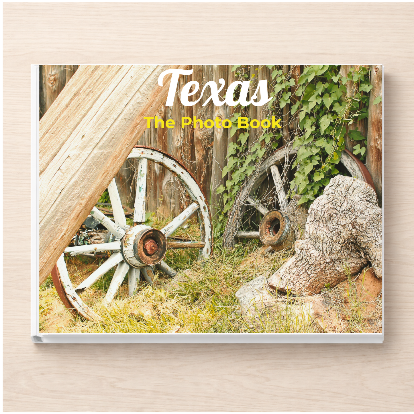 Texas: The Photo Book