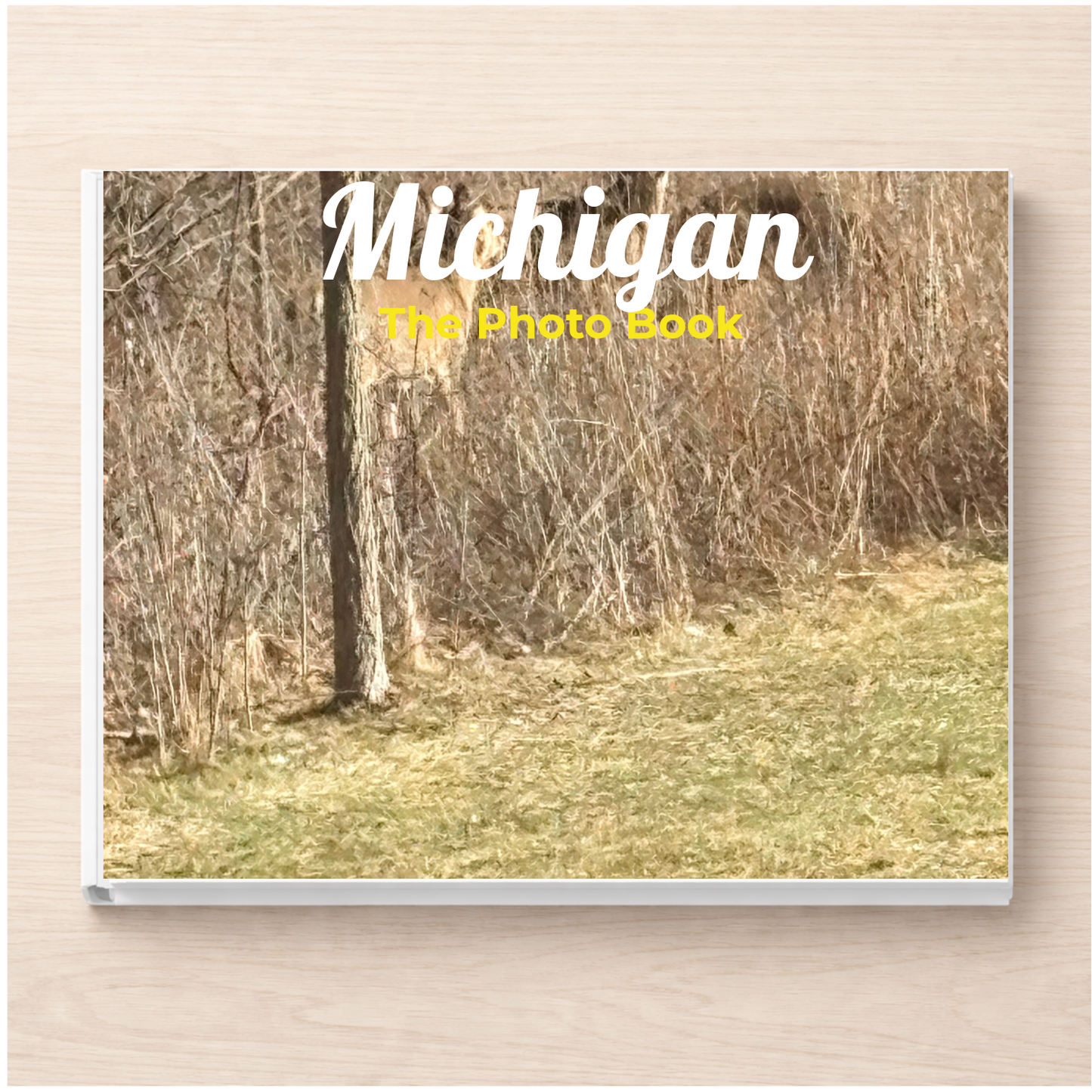 Michigan: The Photo Book