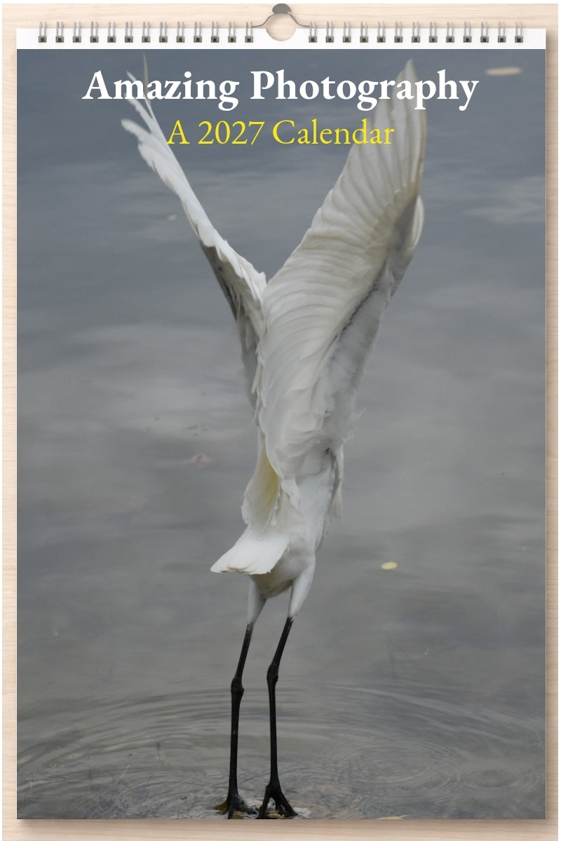Amazing Photography: A 2027 Calendar
