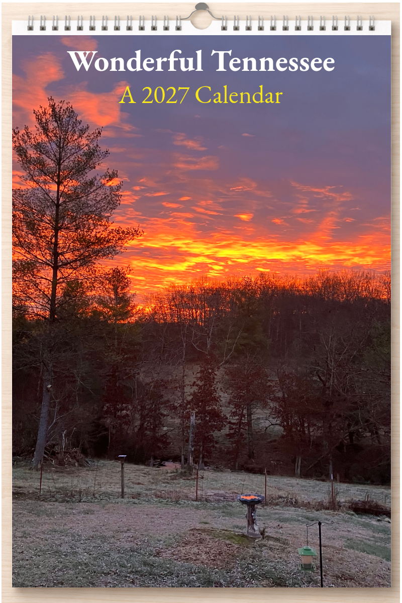 Wonderful Tennessee: A 2027 Calendar