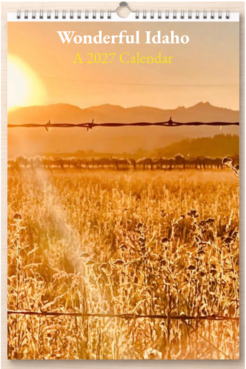 Wonderful Idaho: A 2027 Calendar
