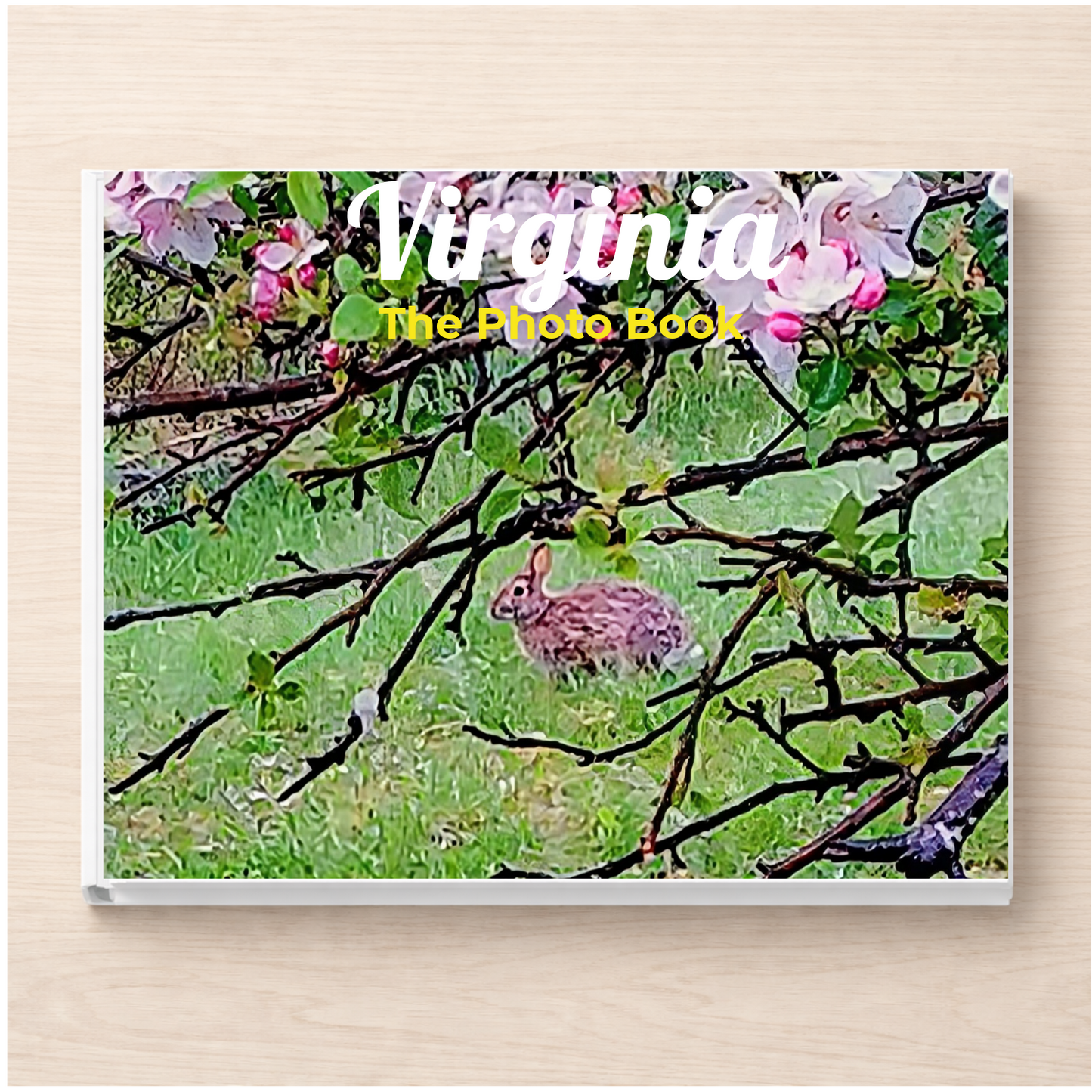 Virginia: The Photo Book