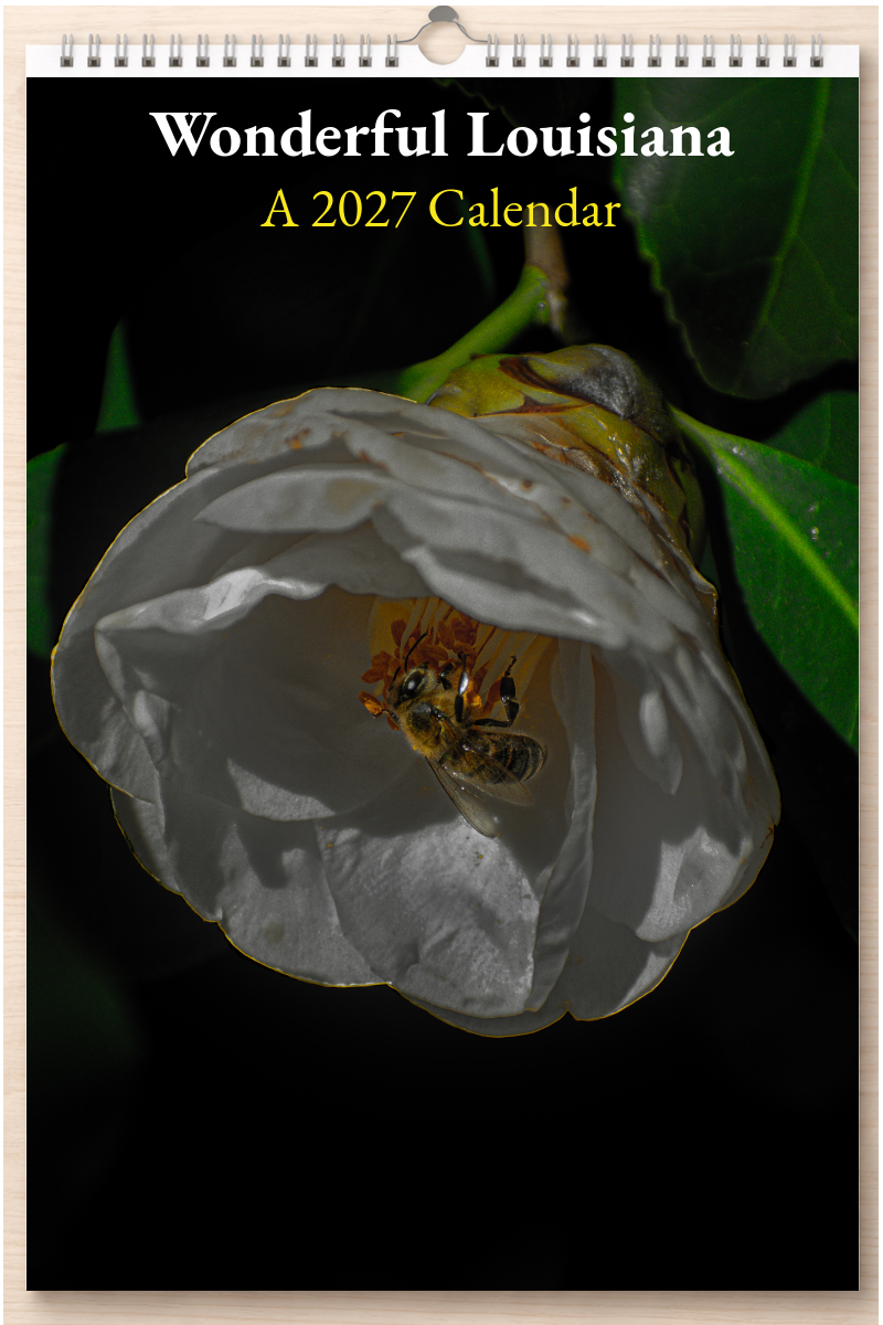 Wonderful Louisiana: A 2027 Calendar