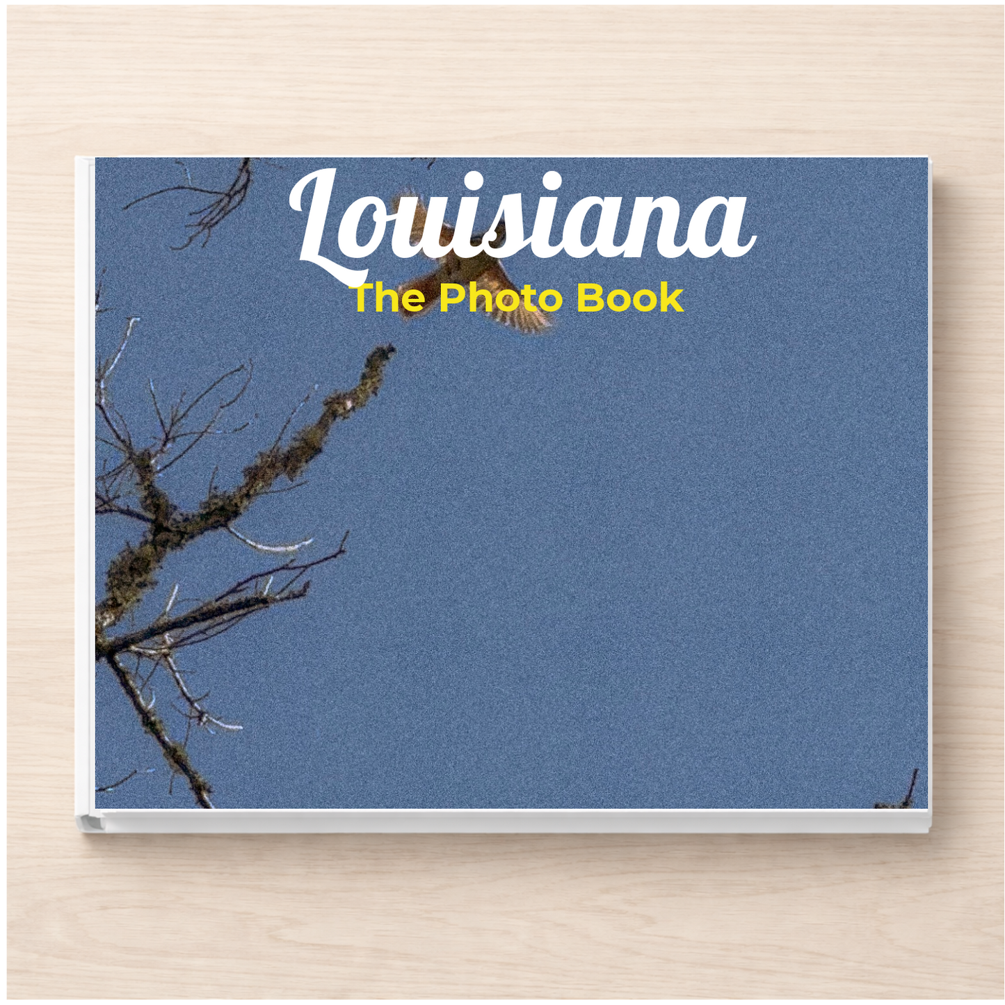 Louisiana: The Photo Book