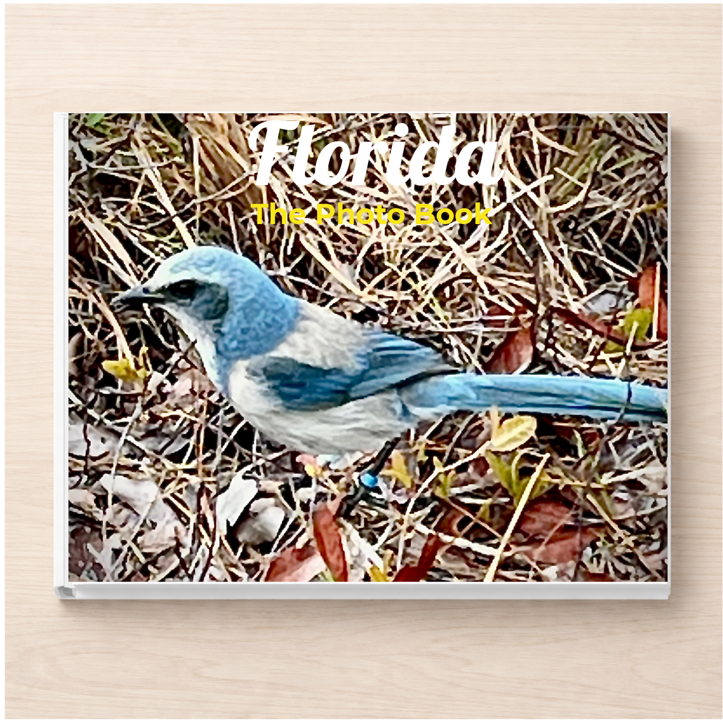 Florida: The Photo Book