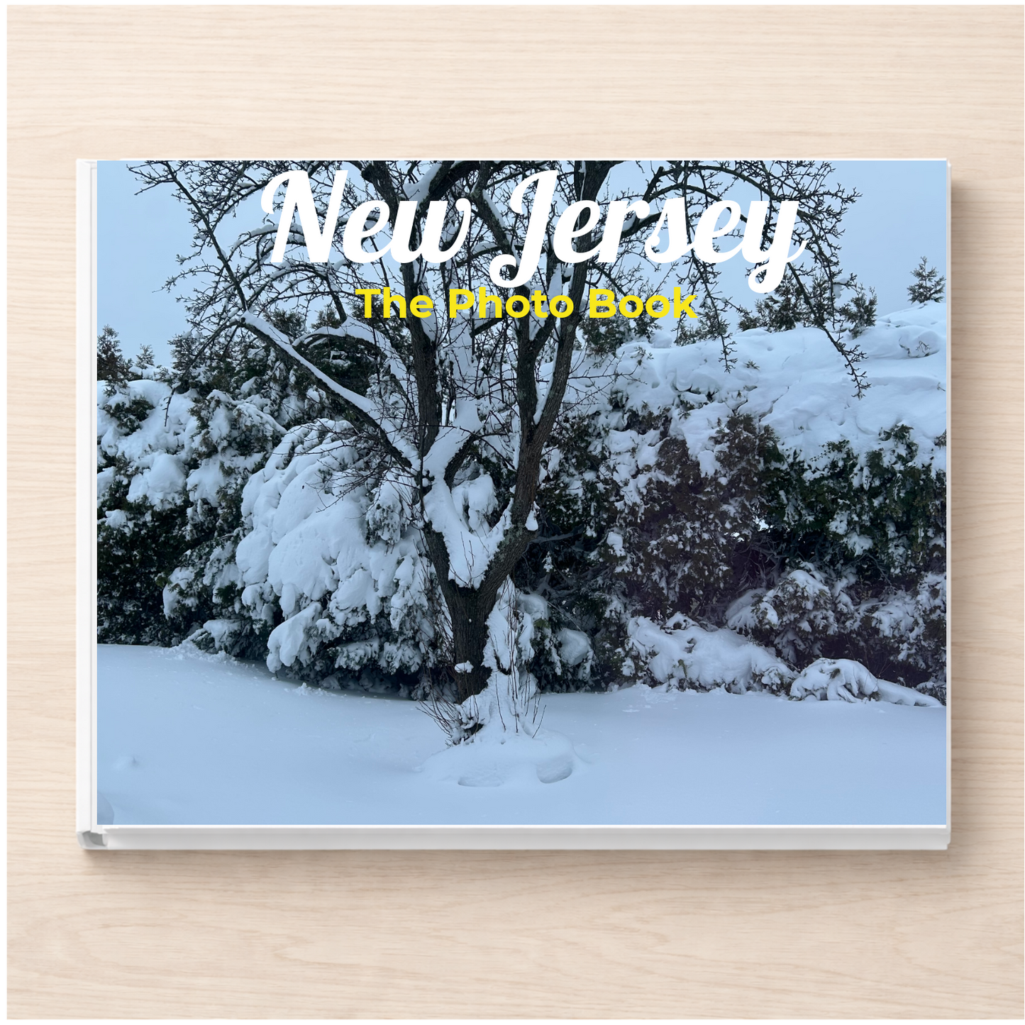 New Jersey: The Photo Book