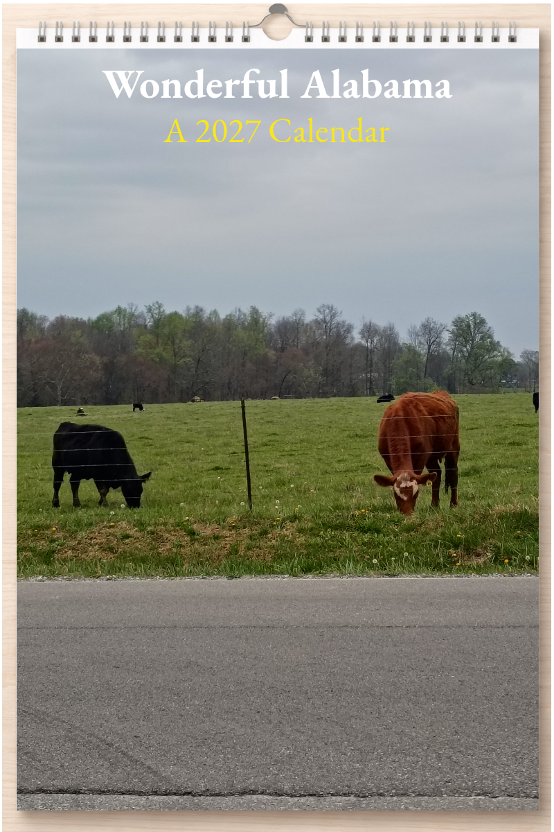 Wonderful Alabama: A 2027 Calendar