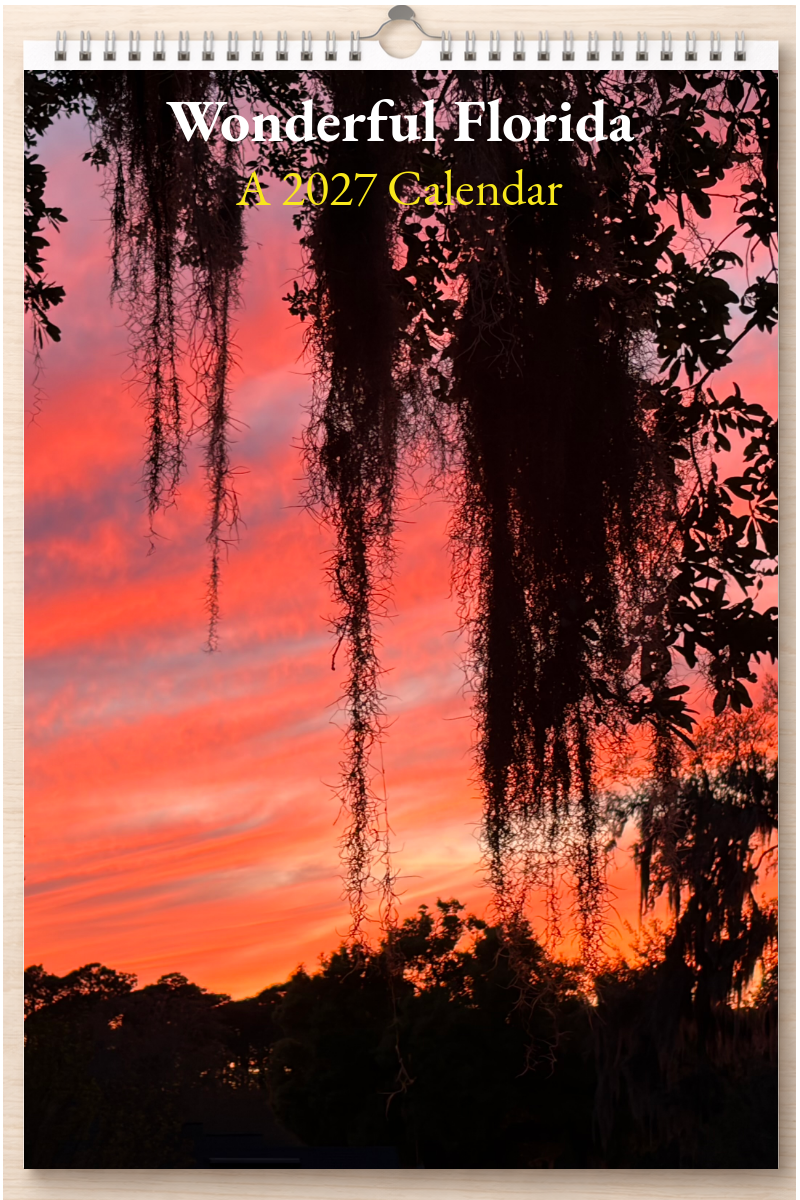 Wonderful Florida: A 2027 Calendar