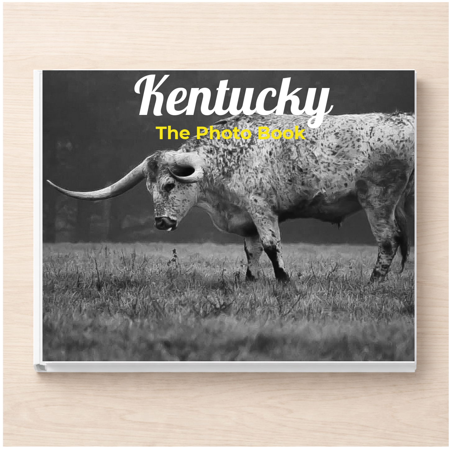 Kentucky: The Photo Book