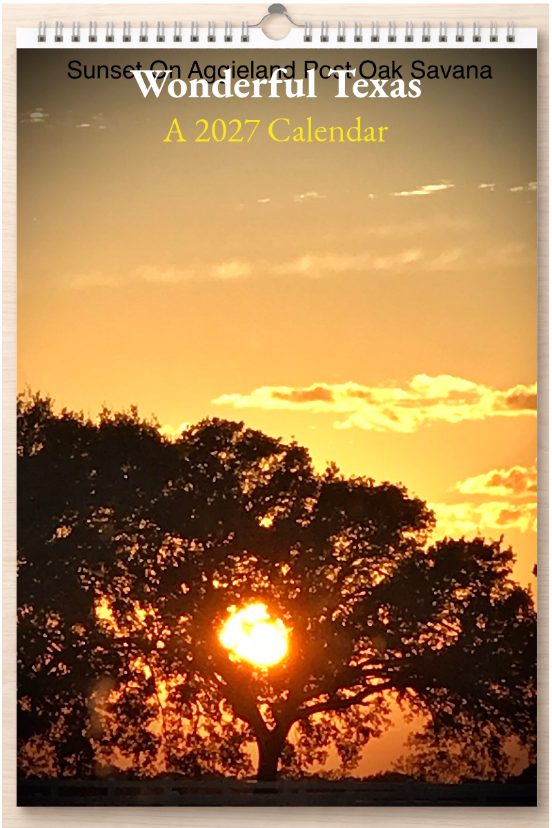 Wonderful Texas: A 2027 Calendar