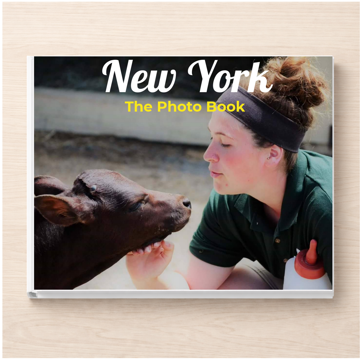 New York: The Photo Book