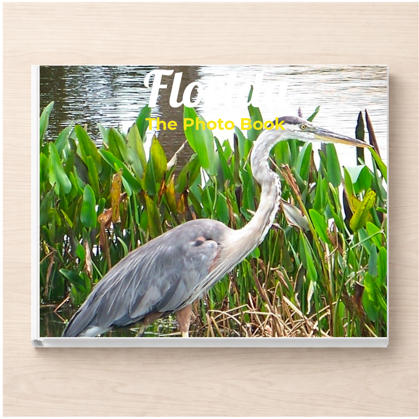 Florida: The Photo Book