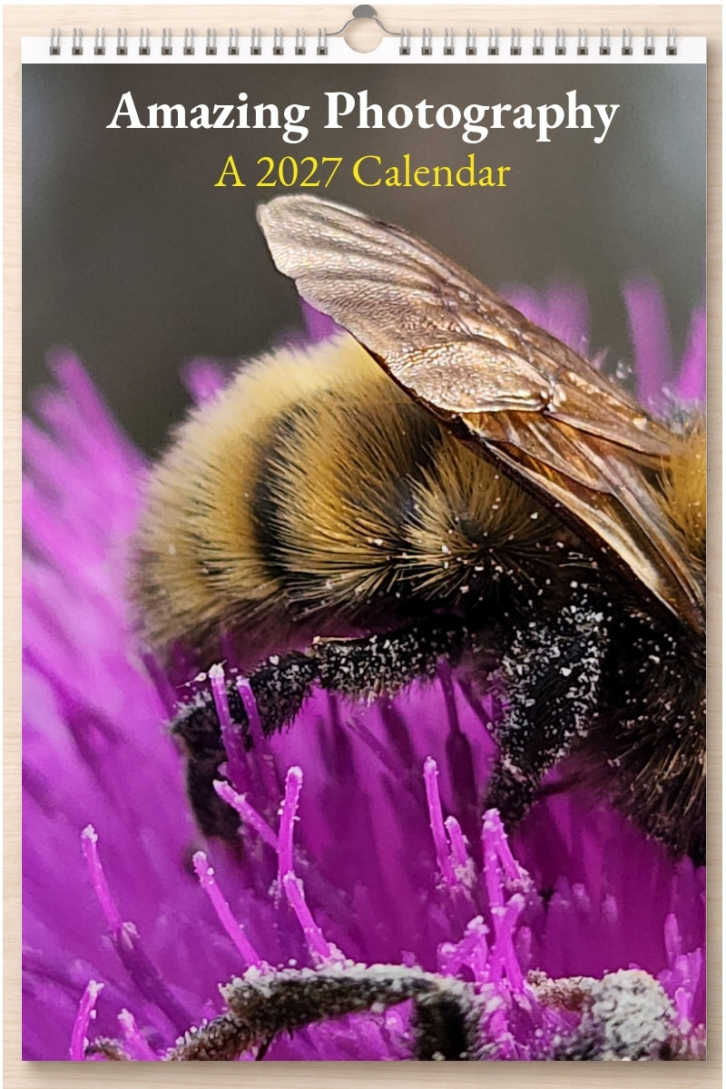 Amazing Photography: A 2027 Calendar