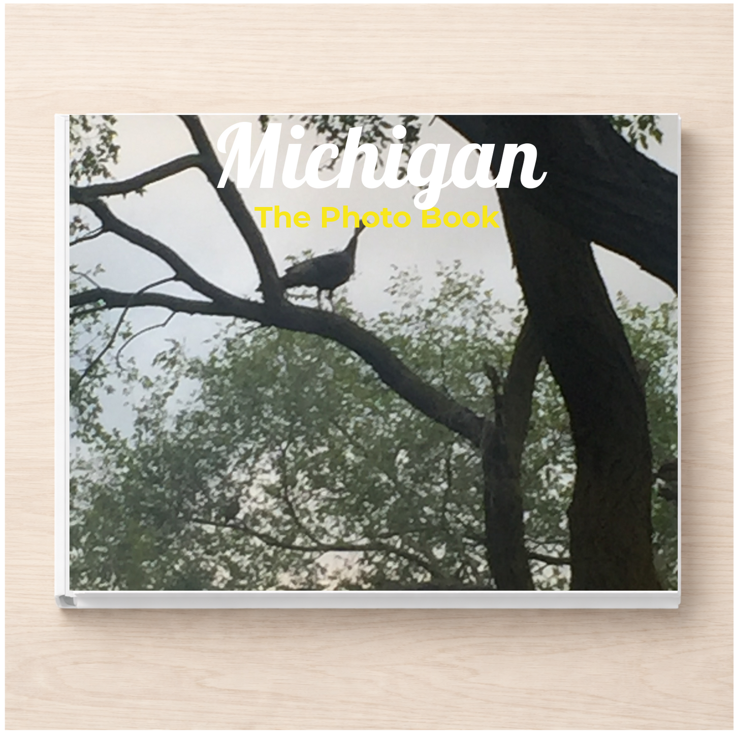 Michigan: The Photo Book