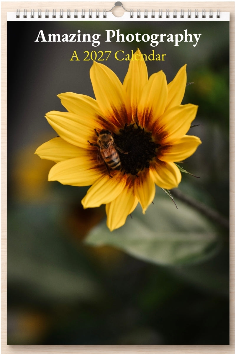 Amazing Photography: A 2027 Calendar