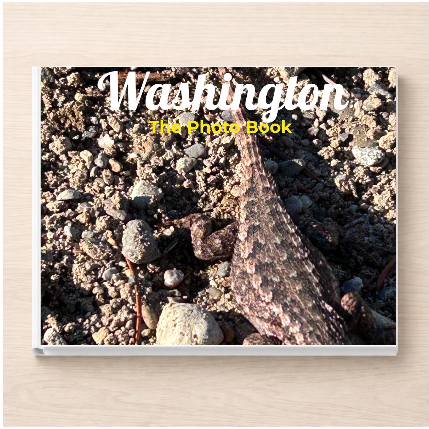 Washington: The Photo Book