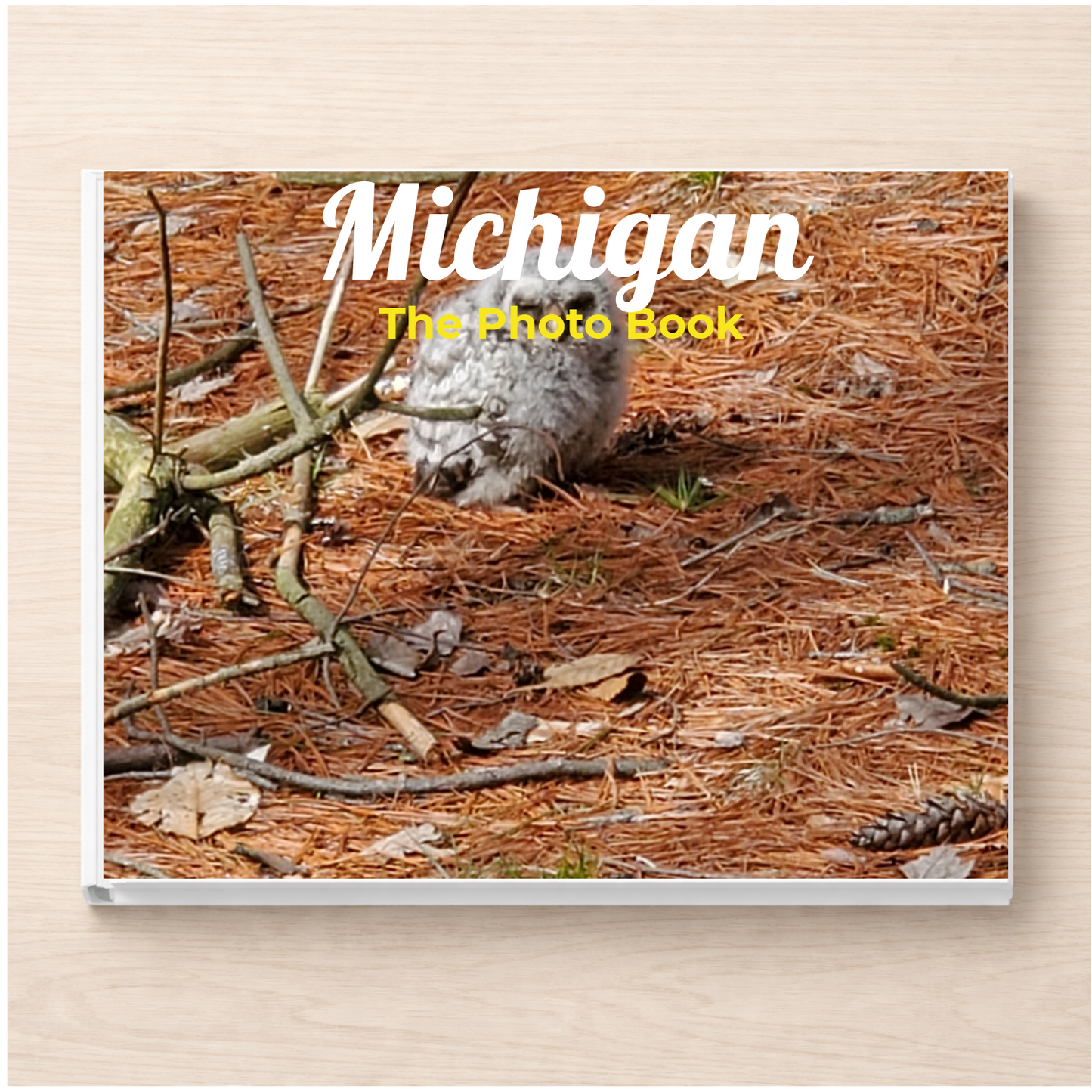 Michigan: The Photo Book